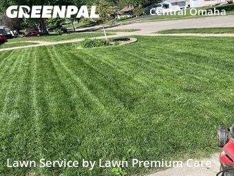 Lawn Cut nearby Omaha, NE, 