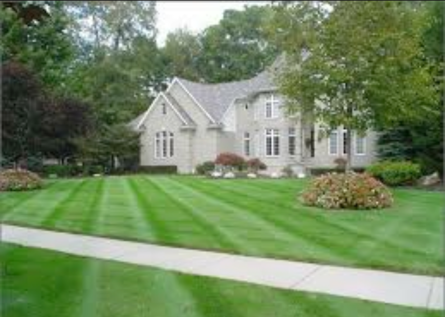 Yard mowing company in Tampa, FL, 33626