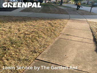Lawn Mowin Ballwin,63011,Grass Cut by The Garden Ant , work completed in Nov , 2025