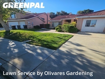 Work completed by affordable-lawn-services-in-Palmdale-CA