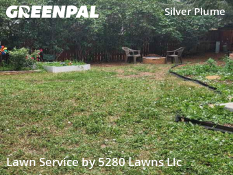 Yard Cutting nearby Fort Collins, CO, 