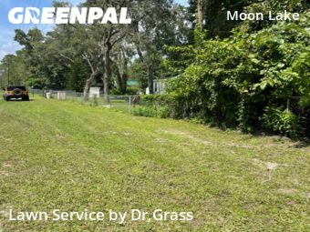 Yard Mowing nearby New Port Richey, FL, 