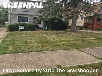 Yard Mowing nearby Garfield Heights, OH, 