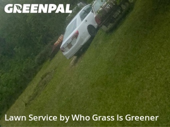 Grass Cutting nearby Independence, LA, 