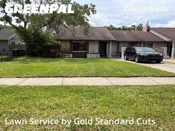 Lawn Servicein Orlando,32822,Lawn Maintenance by Gold Standard Cuts , work completed in Jun , 2026