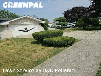 Grass Cut nearby Harvey, IL, 