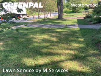 Lawn Mowing Service nearby Greensboro, NC, 