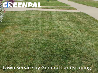 Yard Cutting nearby Norridge, IL, 