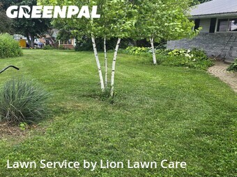 Lawn Cutting nearby Springfield, OH, 