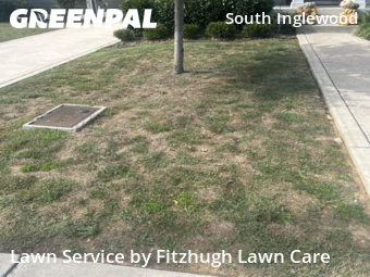 Grass Cutting nearby Nashville, TN, 