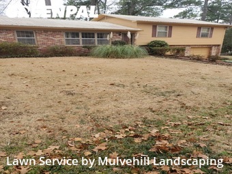 Lawn mowed in Birmingham, 35226