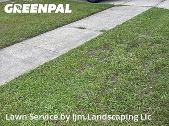 Grass Cut nearby Kissimmee, FL, 