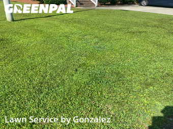 Yard Cutting nearby Lillington, NC, 