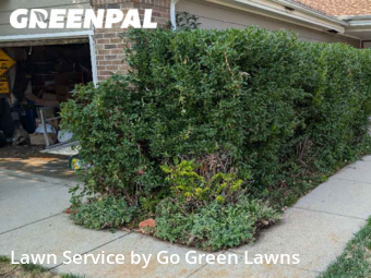 Grass Cutting nearby Thornton, CO, 