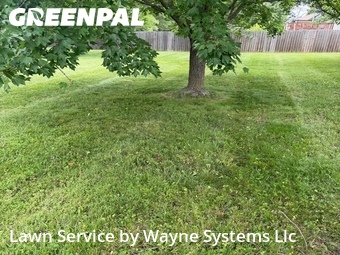 Grass Cutting nearby Columbia, MO, 
