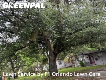 Lawn Maintenance nearby Winter Park, FL, 