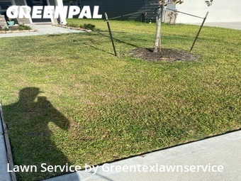 Lawn Mow nearby Katy, TX, 