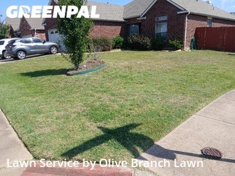 Grass Cutting nearby Fort Worth, TX, 