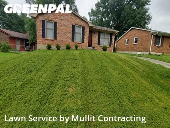 Grass Cut nearby Lexington, KY, 