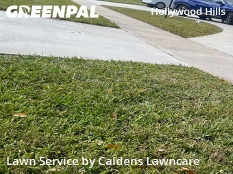 Work completed by affordable-landscaping-maintenance-services-in-Hollywood-CA