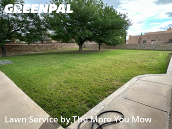 Grass Cut nearby Socorro, TX, 