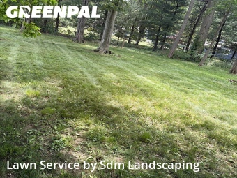 Lawn Maintenance nearby Cortland, OH, 