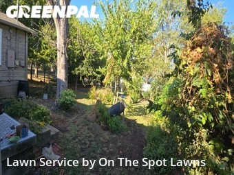 Lawn Mow nearby Temple, TX, 