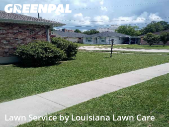Grass Cut nearby Metairie, LA, 