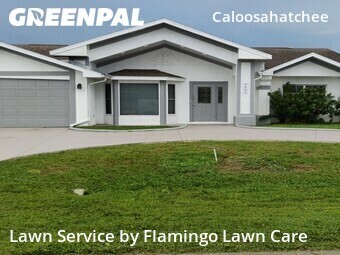 Grass Cut nearby Cape Coral, FL, 