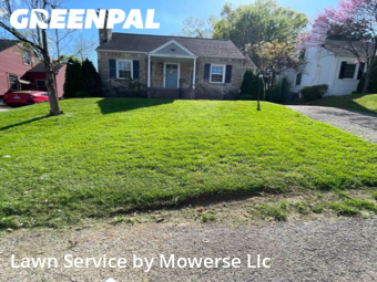 Lawn Care Service nearby Audubon Park, KY, 