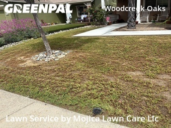 Work completed by local-lawn-care-services-in-Roseville-CA