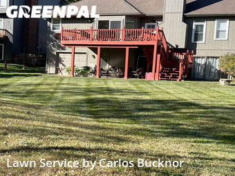 Grass Cut nearby Lee's Summit, MO, 