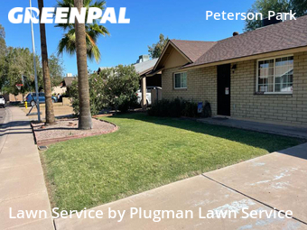 Landscaping Installation Tempe,85282,Landscaping Renovation by Plugman Lawn Service, work completed in Jun , 2026