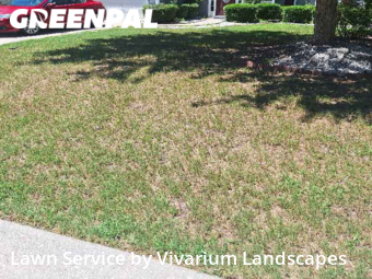 Yard Mowing nearby Rock Hill, NC, 