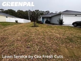Grass Cutting nearby Ocala, FL, 