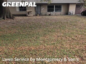 Lawn Cut nearby Lakeland, FL, 