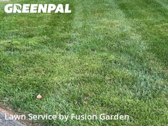 Yard Maintenance in Gaithersburg, 20879, Garden Trimming by Fusion Garden, work completed in Oct , 2025