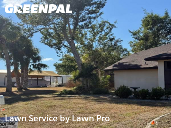 Grass Care in North Port, 34287, Yard Mowing by Lawn Pro, work completed in Dec , 2025