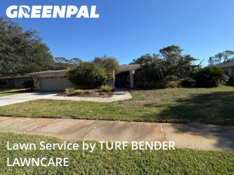 Lawn Mowing Service nearby Palm Harbor, FL, 