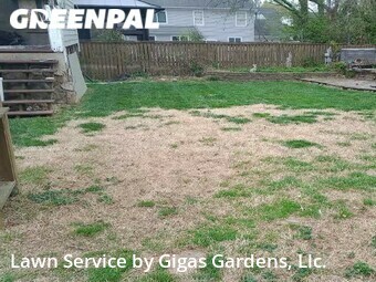 Lawn Mowing Service nearby Falls Church, VA, 