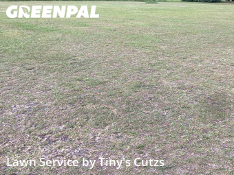 Grass Cut nearby Valdosta, GA, 