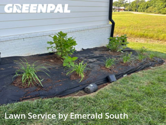 Lawn Care Service nearby Murfreesboro, TN, 