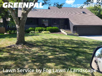 Yard Cutting nearby Lenexa, KS, 