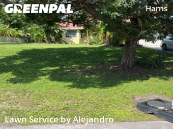 Lawn Cutting nearby Lehigh Acres, FL, 