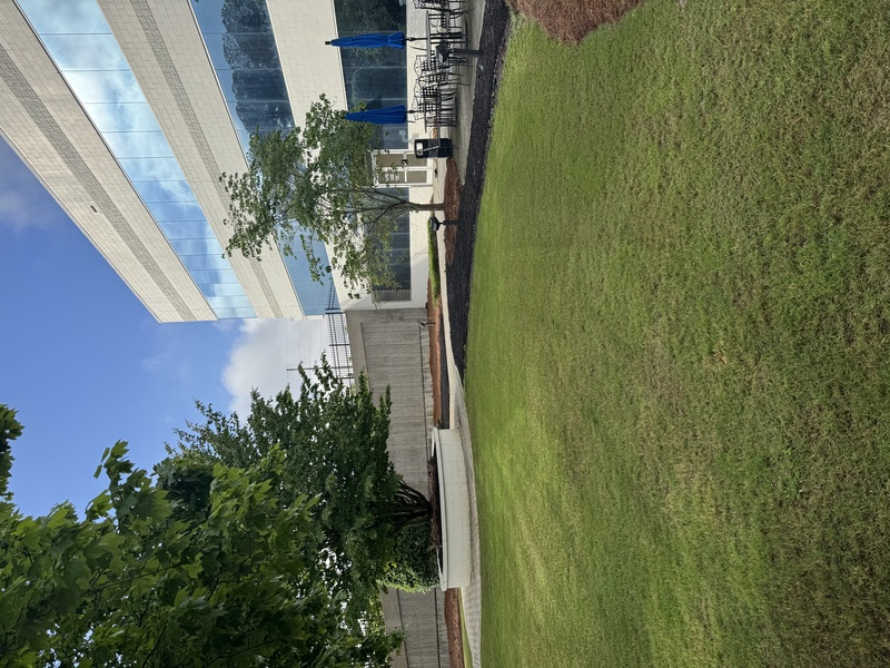 Work Image 6