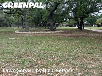 Lawn Cut nearby Georgetown, TX, 