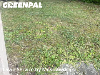 Lawn Maintenance nearby Pittsburgh, PA, 