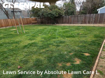 Local Lawn And Landscape Maintenance Services Near Me In Elk Grove,95758,Landscape Design by Absolute Lawn Care L, work completed in Feb , 2026
