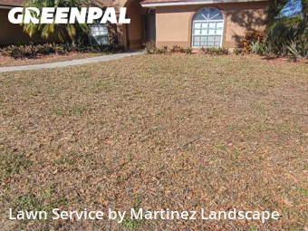 Lawn mowed in Tavares, 32778