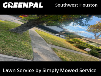 Lawn Mowing Servicein Houston,77005,Lawn Cut by Simply Mowed Service, work completed in Jan , 2026